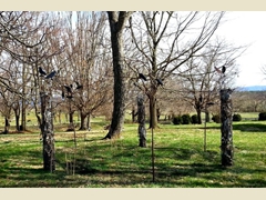 Installation at Clermont Farm, Berryville, VA