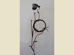 Circle with Branches and Flying Wren