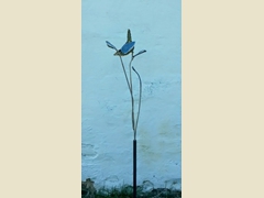 Wren with Branches