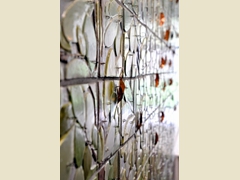 View of Copper Leaves Hanging from Tree - Each leaf represents a child